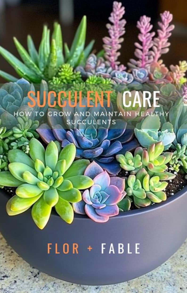 Succulent Care Guide Ebook – the Ultimate Guide to Thriving Succulents