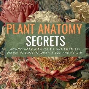 Pode incluir: Ilustração botânica com diversas flores e fungos em tons de rosa, vermelho e creme sobre um fundo verde escuro. O texto "PLANT ANATOMY SECRETS" é exibido em laranja e branco, com texto adicional abaixo.