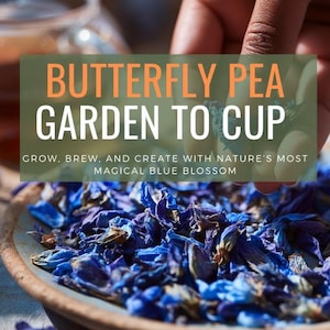 Puede incluir: Primer plano de flores de guisante mariposa azules en un cuenco de madera. La imagen incluye el texto "BUTTERFLY PEA GARDEN TO CUP" y "FLOR + FABLE". Las flores son de un azul vibrante, y el cuenco tiene un aspecto rústico.