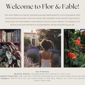 May include: A promotional image for Flor & Fable, a family-owned business. The image features a woman, plants, and text that reads "Welcome to Flor & Fable!" and "Our Promise: Quality Plants: Handpicked and cared for with love."
