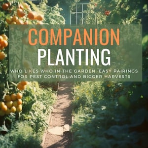 Samen planten eenvoudig gemaakt – Afdrukbaar e-boek tuinieren | Gids voor biologische tuinplanning | Tips voor het tuindagboek en tabel met plantcombinaties