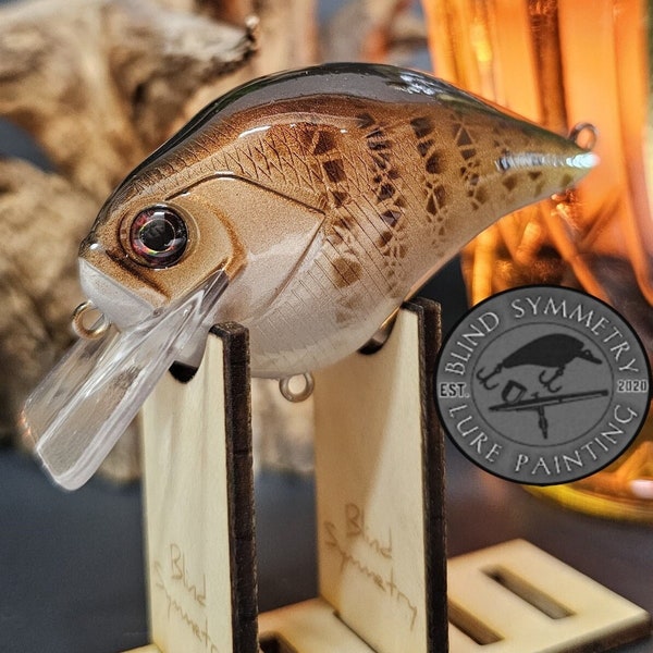 10-ct Fishing Lure Display Stand