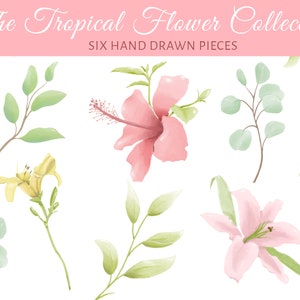The Tropical Flower Collection - Hand Drawn High Resolution PNG Download