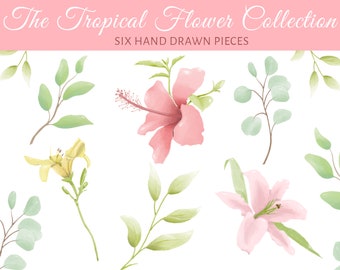 The Tropical Flower Collection - Hand Drawn High Resolution PNG Download