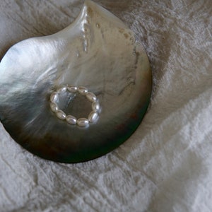 May include: A white pearl ring on a mother-of-pearl shell dish. The dish is on a white fabric background.