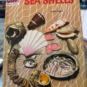 VINTAGE How and Why Wonder Book of Seashells. 1961