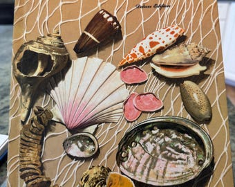 VINTAGE How and Why Wonder Book of Seashells. 1961