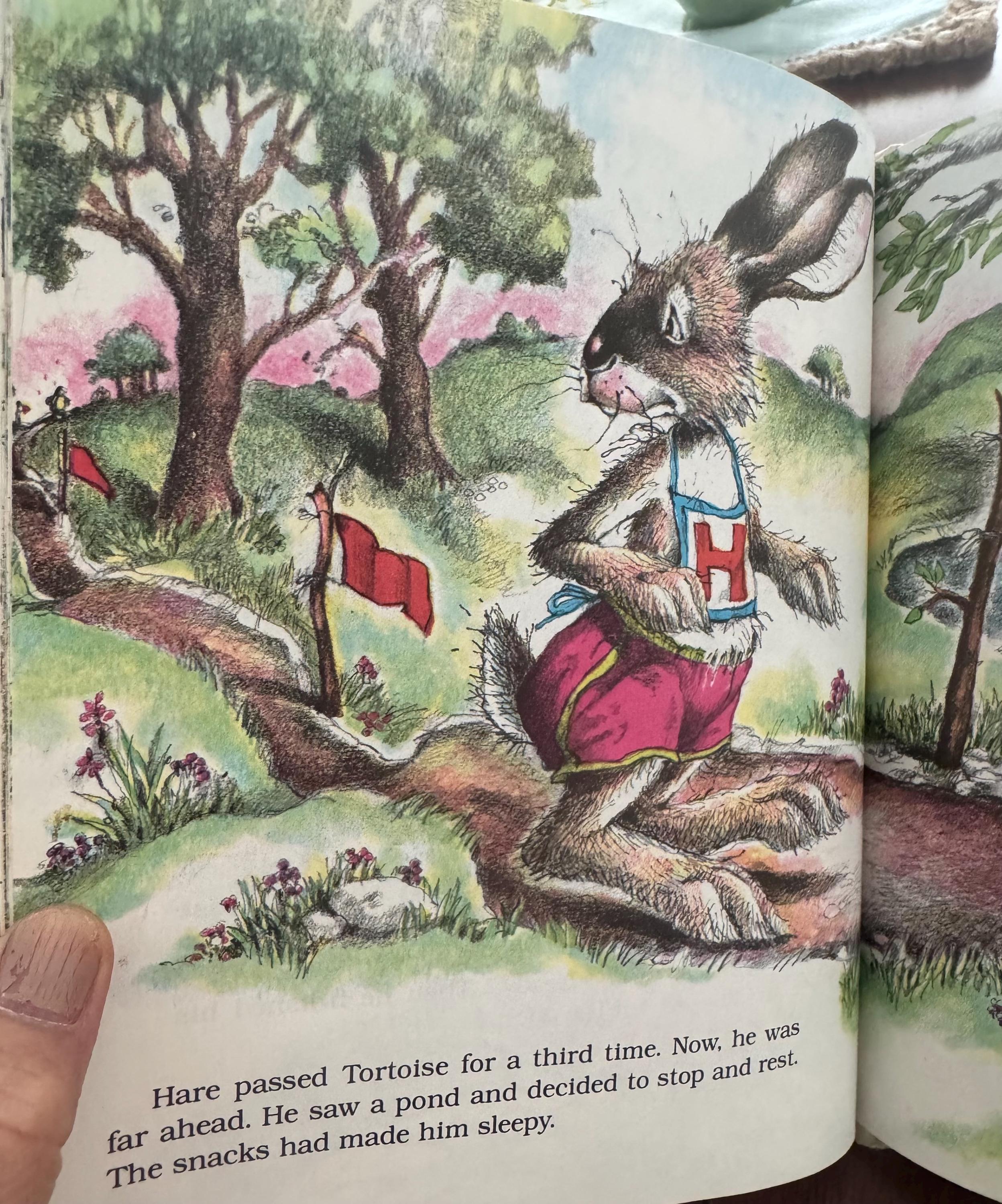 VINTAGE the Tortoise and the Hare Adapted and Illustrated by Janet