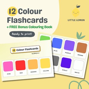 12 Colour Flashcards +FREE Coloring Book | Preschool Cards | Printable Cards | Montessori Flashcards | Toddler Flashcards | Instant Download