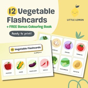 12 Vege Flashcards +FREE Coloring Book | Preschool Cards | Printable Cards | Montessori Flashcards | Toddler Flashcards | Instant Download