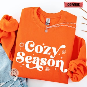 Cozy Season Fall Orange Sweatshirt, Warm Autumn Sweater, Retro Fall Crewneck Jumper, Pumpkin Season Pullover, Autumn Top, Fall Lover Gift