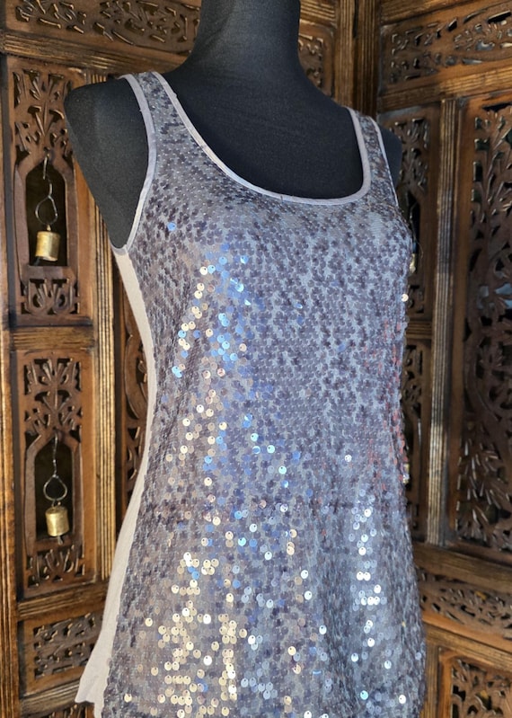 Silver Sequin Top — Express X-Small - image 1