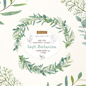 Aquarell Eukalyptus Farn Botanischer Kreis Rahmen PNG Clipart Handgemaltes Laub für die Herstellung der Hochzeitslogo-Einladungskarte