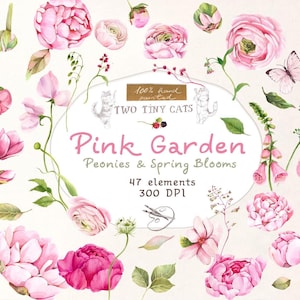 Rosa Garten Aquarell Clipart Blush Pfingstrosen Ranunkel Rosen Wildblumen Blumenwiese Hochzeit Einladung PNG