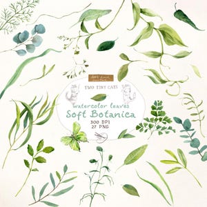 Watercolor Greenery Clipart Eucalyptus Leaves Ferns Branches Botanical Foliage Herbs Nature Leafy Elements Wild Grass Wedding Invitation PNG
