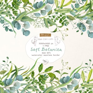 Elegante follaje verde, borde sin costuras, acuarela, clipart, eucalipto, hierbas, marco de invitación de boda, clipart floral digital PNG