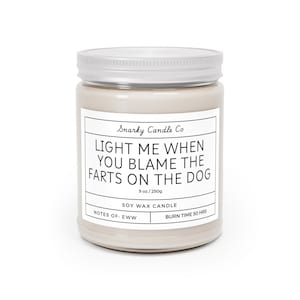 Light Me When You Blame the Farts on the Dog Funny Scented Candle, 9oz, Snarky candle, Humorous Candle, Home Fragrance, Novelty Gift,