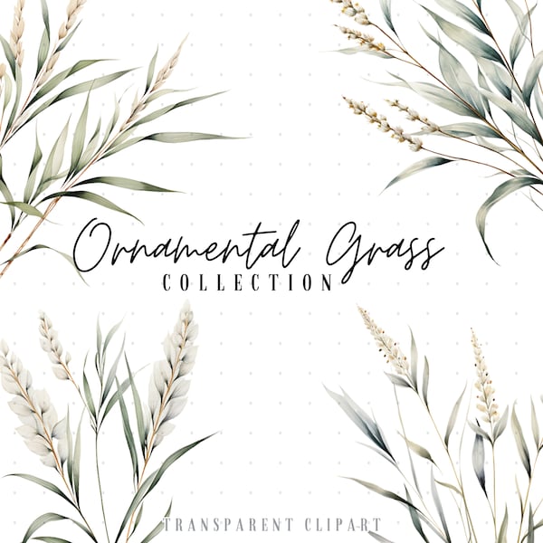 Herbe ornementale des cliparts | Clipart printemps | Herbe décorative