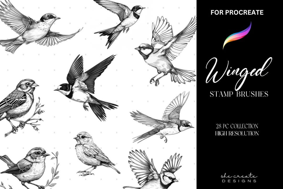 Procreate Bird Brush Stamps Collection | Bird Tattoo | Stamp Brushes - Etsy