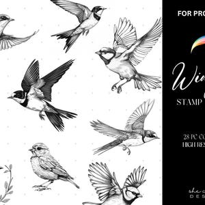 Procreate Bird Brush Stamps Collection | Bird Tattoo | Stamp Brushes