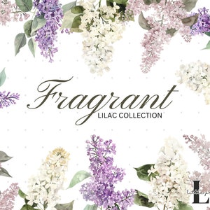 Lilac Floral Clipart | Watercolor Clipart | Spring Clipart