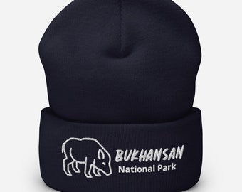 Bukhansan National Park Beanie (Seoul, Korea)