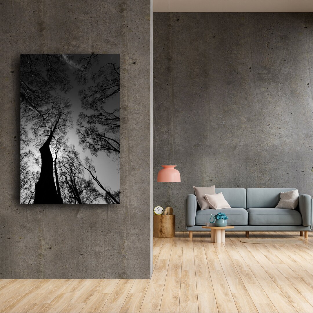 Pine Trees Black White Photo Wall Art Nature Photo Wall Etsy