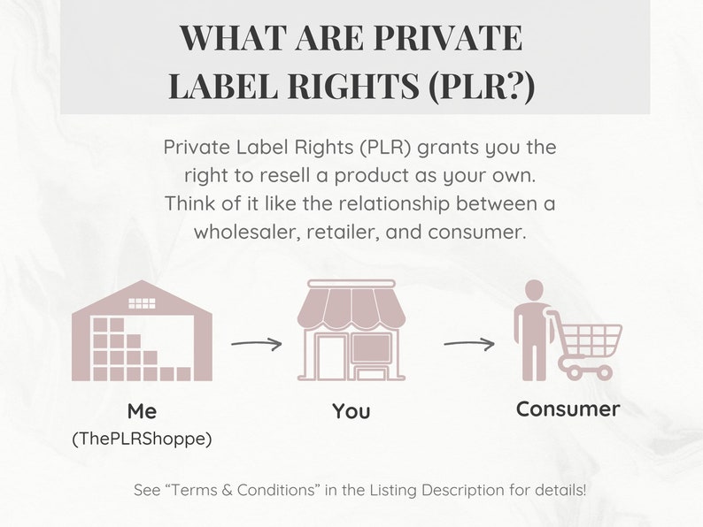 PLR Digital Products Bundle | Done for You PLR Ebook Bundle | Canva ...