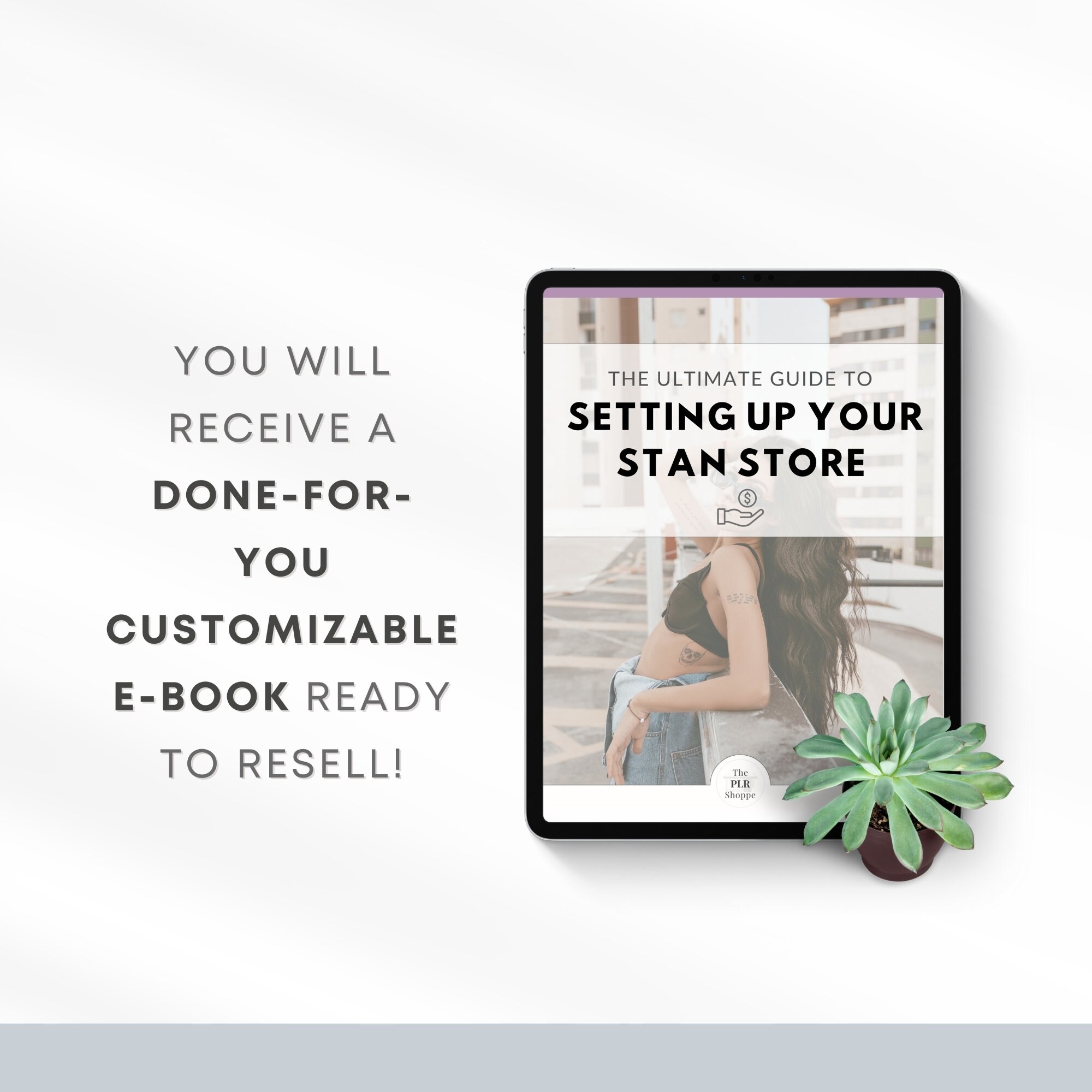 Stan Store Ebook Example Starting Your Stan Store Guide | Master Resell Rights | MRR | DFY ...
