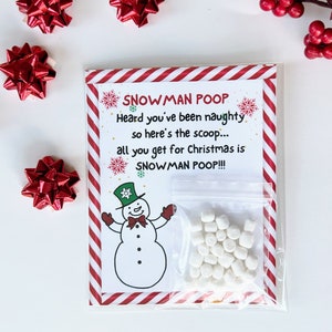Personalisierte lustige Weihnachtsgeschenk • Schneemann Poop • Weißer Elefant Geschenk • Knebel Geschenk • Mitarbeiter Geschenk • Box Filler