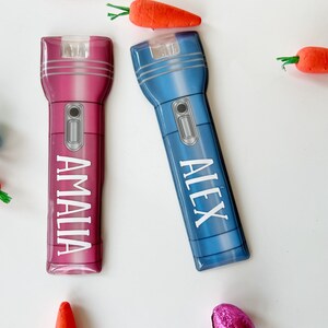Peut inclure: Deux lampes de poche personnalis&eacute;es, une rose et une bleue, chacune avec un nom imprim&eacute; verticalement. La lampe de poche rose dit "AMALIA" et la bleue dit "ALEX". Les lampes de poche sont entour&eacute;es de d&eacute;corations de carottes oranges et d'&oelig;ufs en chocolat emball&eacute;s.