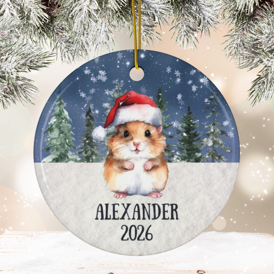 Personalized Hamster Ceramic Ornament, Custom Pet Holiday Ornament, Pet ...