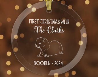 Custom Ferret First Christmas Ornament, Personalized Gift for New Pet, New Addition to the Family Memory, Holiday Gift for Kids