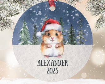 Personalized Hamster Metal Ornament, Custom Pet Holiday Ornament, Pet Memorial Christmas Gift, Pet Loss Ornament, Keepsake Gift for Kids