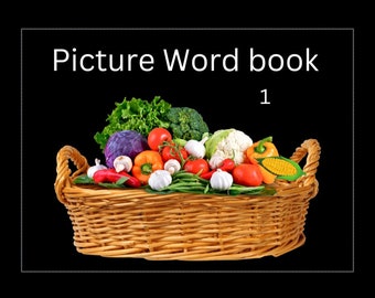 Picture Word Book 2