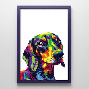 Dachshund - Multicolored