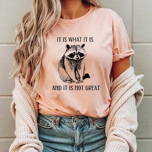 It Is What It Is And It Is Not Great T Shirt, Funny T Shirt, Meme T Shirt, Funny Mood Shirt, Racoon Meme Tee, Unisex Jersey Short Sleeve Tee