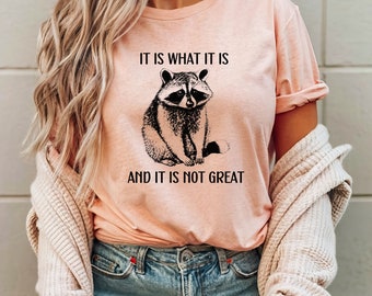 It Is What It Is And It Is Not Great T Shirt, Funny T Shirt, Meme T Shirt, Funny Mood Shirt, Racoon Meme Tee, Unisex Jersey Short Sleeve Tee