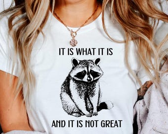 It Is What It Is And It Is Not Great T Shirt, Funny T Shirt, Meme T Shirt, Funny Mood Shirt, Racoon Meme Tee, Unisex Jersey Short Sleeve Tee