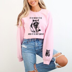 It Is What It Is And It Is Not Great Sweatshirt, Funny Sweatshirt, Meme Sweatshirt, Funny Mood Sweatshirt, Racoon Meme Sweatshirt, Sleeve