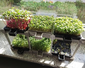 Handgefertigter Microgreens-Growständer – platzsparendes städtisches Gartenregal, Frische vom Bauernhof auf den Tisch, ideales Einweihungsgeschenk