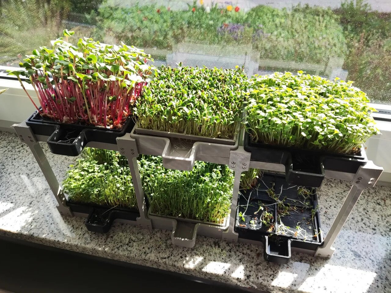 Handcrafted Microgreens Grow Stand - Space Saving Urban Garden Shelf, Farm-to-Table Freshness, Ideal Housewarming Gift
