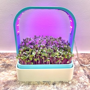 Handcrafted Microgreens Grow Stand - Space Saving Urban Garden Shelf, Farm-to-Table Freshness, Ideal Housewarming Gift