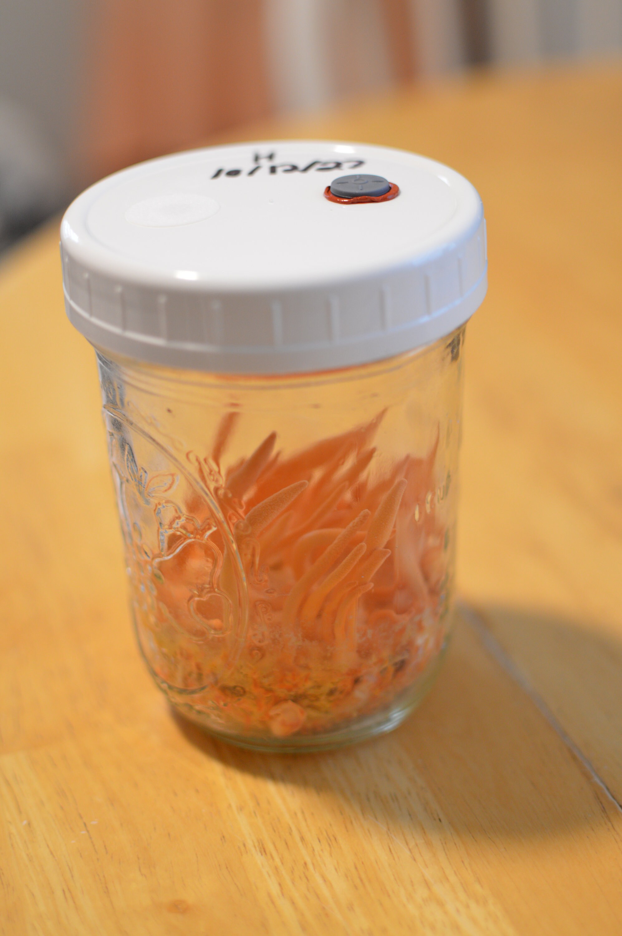 Cordyceps and Mushroom Spawn Jar Lids, Wide Mouth, . 25 µm Filter, Self