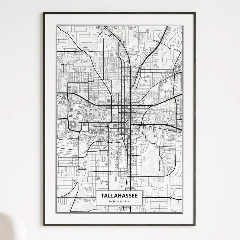 TALLAHASSEE Map Physical Paper Poster, Premium Tallahassee City Poster ...