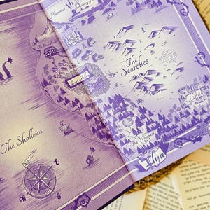 May include: A purple and white illustrated map of a fictional world with the names "The Scorches", "The Whispers", "Lost Alley", "The Shallows", and "Sanctuary of Souls" written on it.