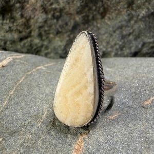 Phoenix Wealth Vessel Prosperity Amulet • Infinite Abundance, Success, Destiny & Power Magic Talisman