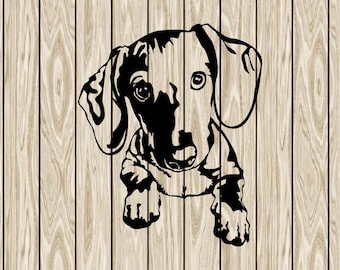 Peeking Dachshund svg, Doxie svg, dog svg cricut, Funny Dachsh Peeking, cute dog face clipart, png head download, vector laser cut dxf files