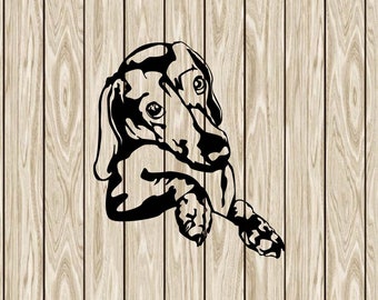 Peeking Dachshund svg, Doxie svg, dog svg cricut, Funny Dachsh Peeking, cute dog face clipart, png head download, vector laser cut dxf files