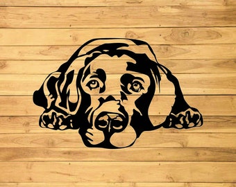 Animale domestico sbirciando Labrador Retriever Svg, sbirciando Labrador Retriever Clipart, sbirciando Labrador Retriever Svg file per Cricut, Silhouette